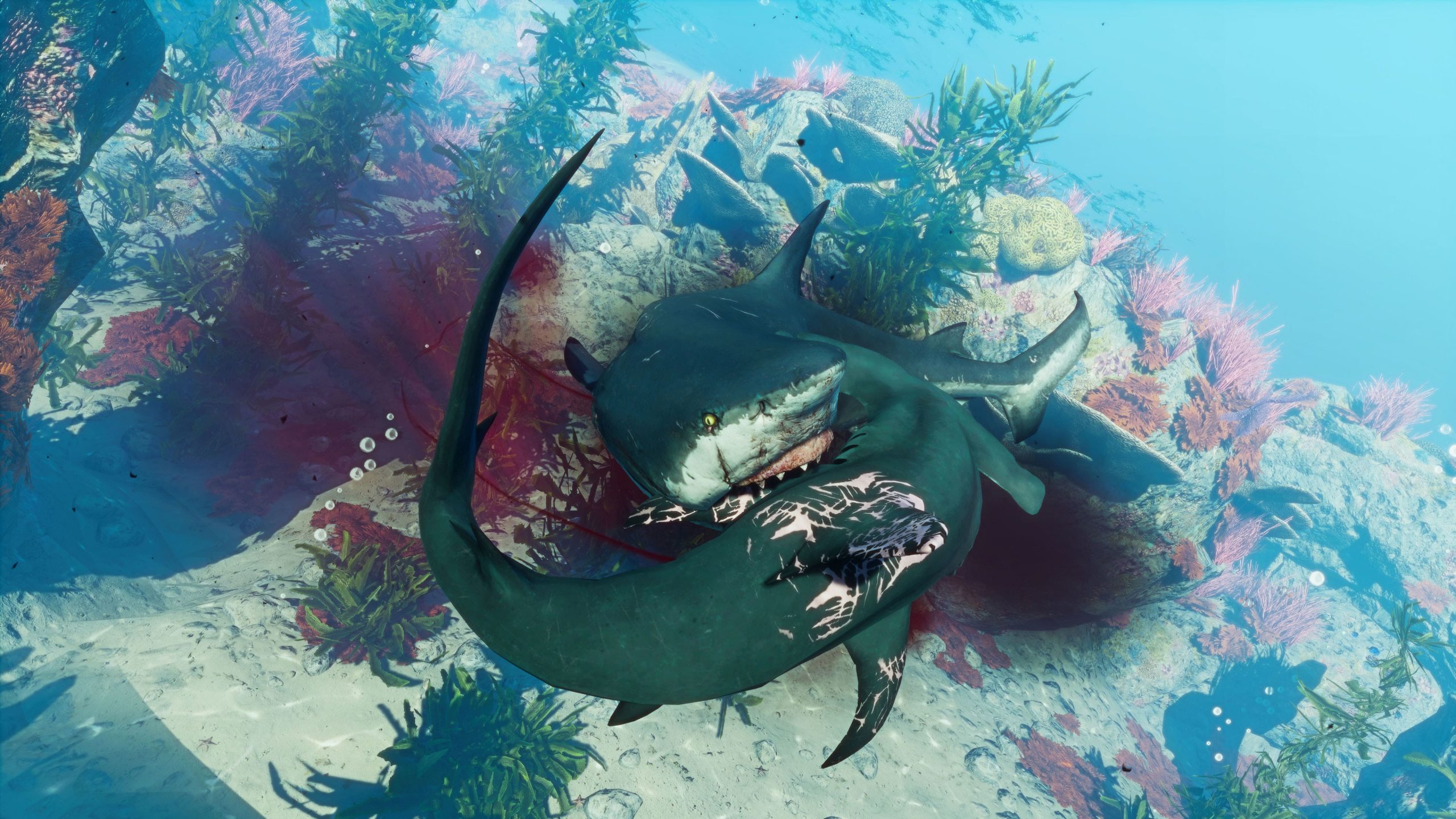 Maneater Recensione