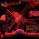 Carrion