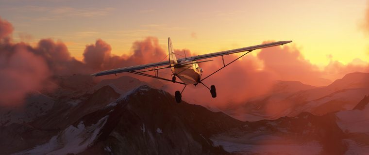 Microsoft Flight Simulator