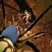 Grounded: i piccoli protagonisti hanno un trailer di lancio