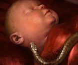 Crusader Kings III