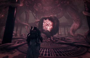 remnant dlc subect 2923
