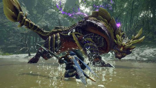monster hunter rise