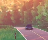 art of rally