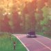 art of rally