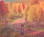 art of rally
