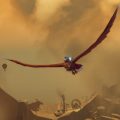 the falconeer