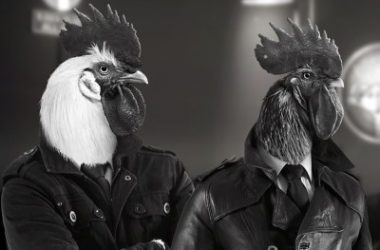 Chicken Police