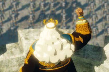 Hyrule Warriors: L'era della calamità