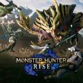 Switch monster hunter rise