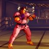 street fighter 5 dan