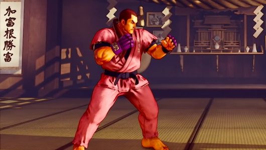 street fighter 5 dan