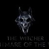 the witcher nightmare of the wolf