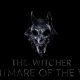 the witcher nightmare of the wolf