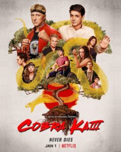cobra kai 3 recensione