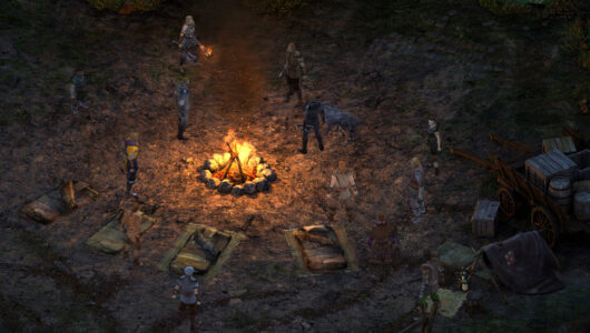 pillars of eternity switch
