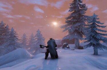 valheim vendite
