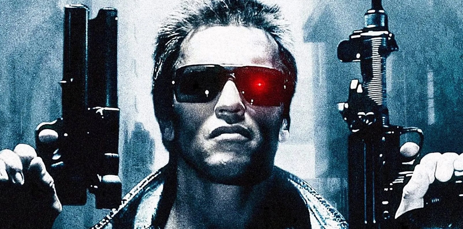 Terminator netflix
