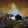 biomutant combat