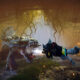biomutant combat