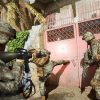 Six Days in Fallujah santa monica