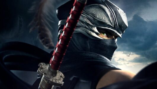 Team Ninja