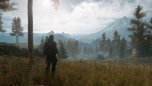 days gone 2