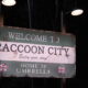 resident evil film