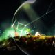 void terrarium recensione