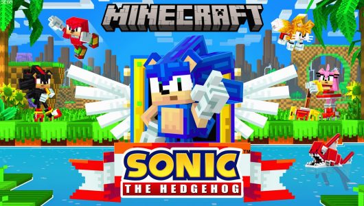 Minecraft sonic