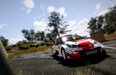 WRC 10 switch