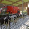 Farming Simulator 22 Gameplay