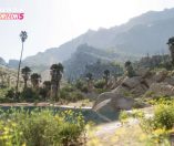 Forza Horizon 5