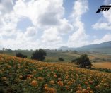 Forza Horizon 5
