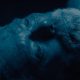 L'Uomo nel Buio: Man In The Dark, ecco il trailer ufficiale