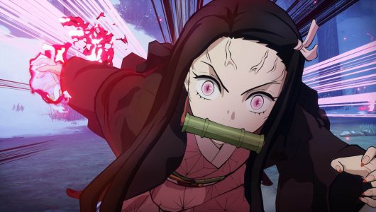 Demon Slayer: Kimetsu no Yaiba – The Hinokami Chronicles – Provato