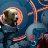 marvel's guardians of the galaxy cosmo