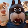 DC League of Super Pets trailer