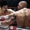 Fight Night