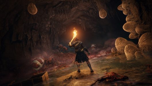 Elden Ring: From Software si prepara a mostrare 15 minuti di gameplay