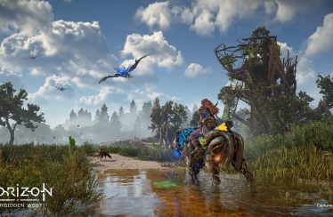 Horizon Forbidden West PS4