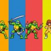 Teenage Mutant Ninja Turtles Shredder’s Revenge uscita
