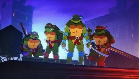 Shredder's Revenge Provato