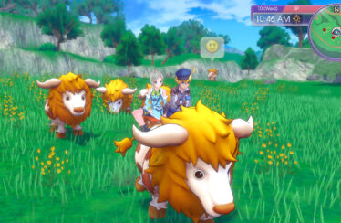 Rune Factory 5 pc steam