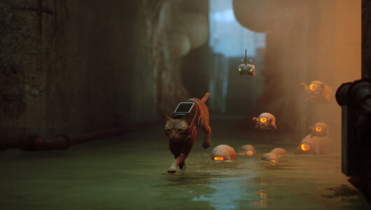Stray Recensione