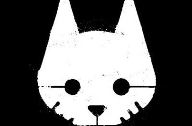 Stray