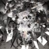 Voice of Cards The Beasts of Burden uscita