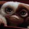 Multiversus gizmo