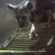 Come raccontiamo i videogiochi - Editoriale