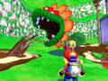 Dolphin Nintendo super mario sunshine